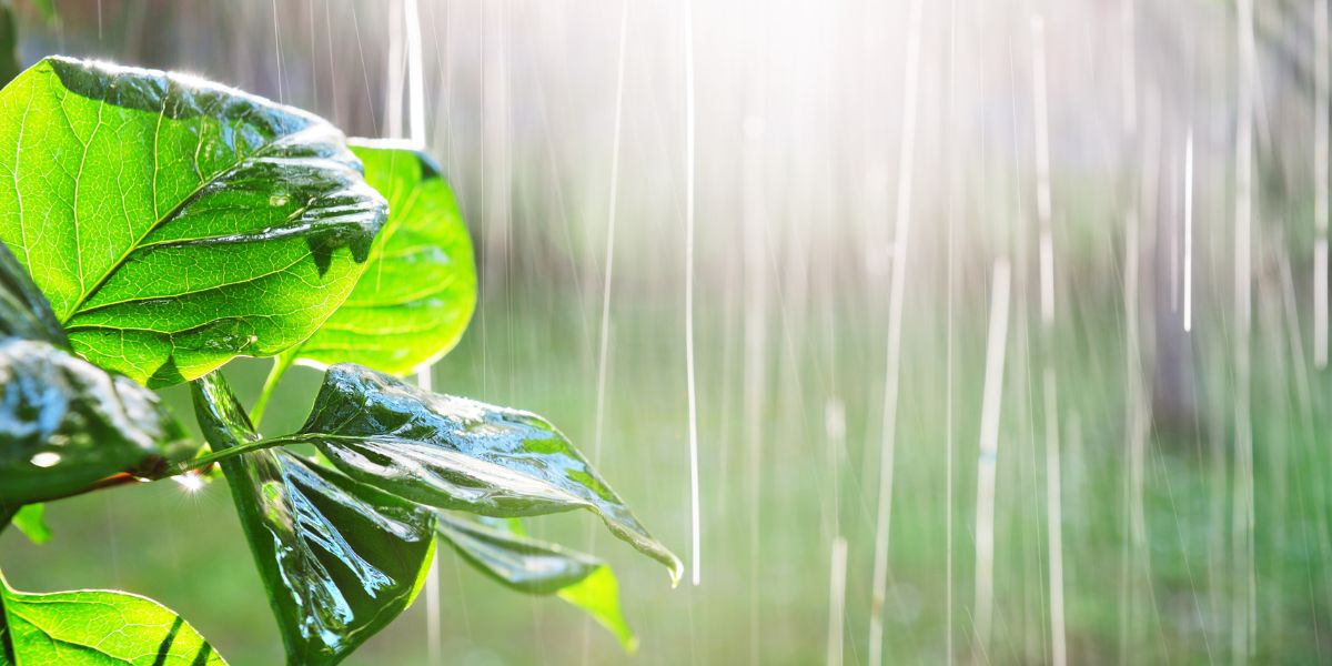Por qué es conveniente una pérgola bioclimática cuando llueve